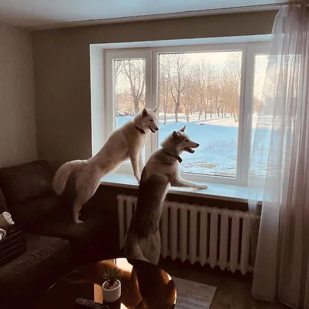 Apartment Ariette & Saffy
